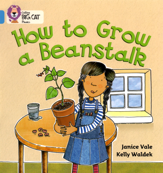 How to grow a beanstalk